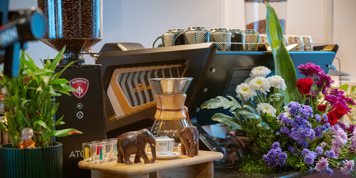 madikeri craft coffee